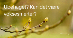 Den siste millimeteren. Briareus Coaching