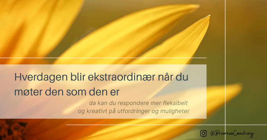 Hvordan hun forvandlet hverdager fra repetisjon til opplevelse. Selvmotivasjon