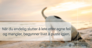 Selvaksept – kilden til hverdagsglede. Når du endelig slutter å lete etter egne feil og mangler, begynner livet å puste igjen. Briareus Coaching