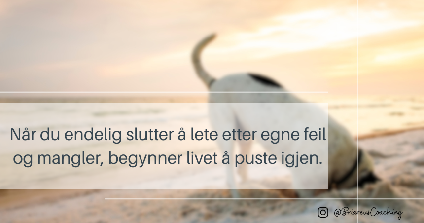 Selvaksept – kilden til hverdagsglede. Når du endelig slutter å lete etter egne feil og mangler, begynner livet å puste igjen. Briareus Coaching